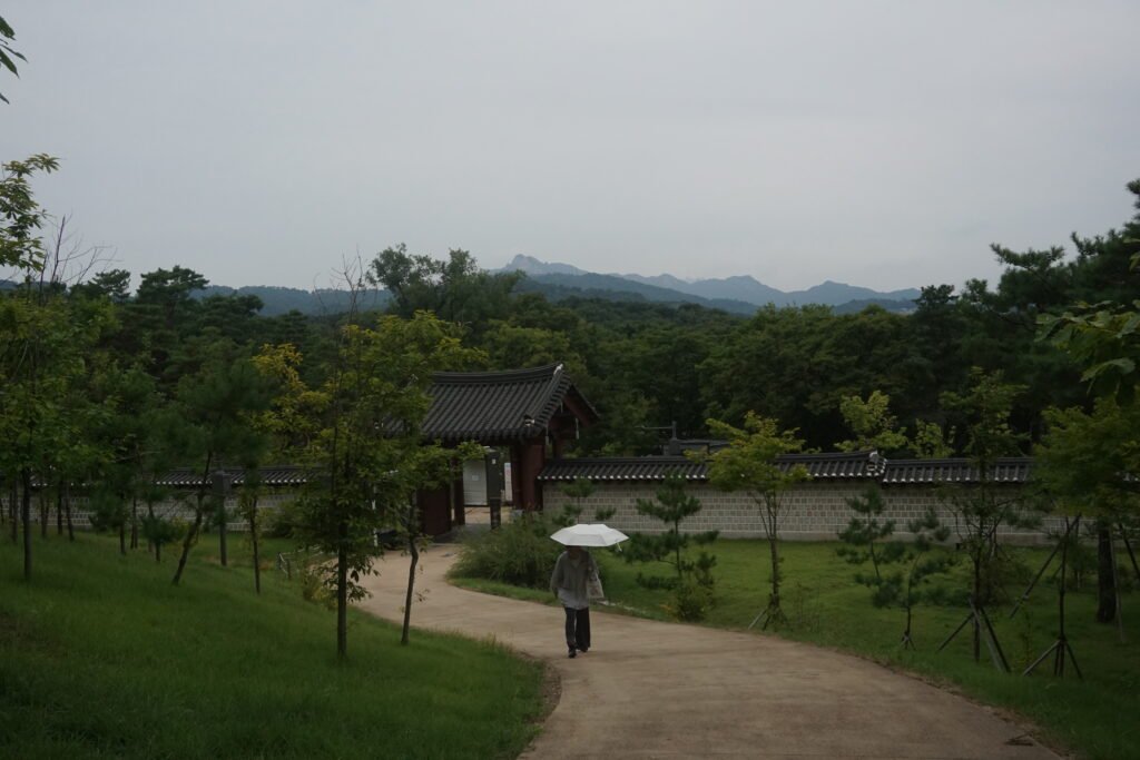 Woche 1 – Reizüberflutung Seoul